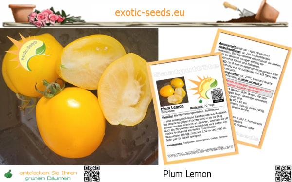 Tomate * Plum Lemon * 20 Samen